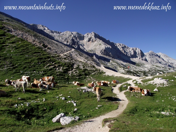 hamisítatlan alpesi táj (Konjski preval) hamisítatlan alpesi táj (Konjski preval)